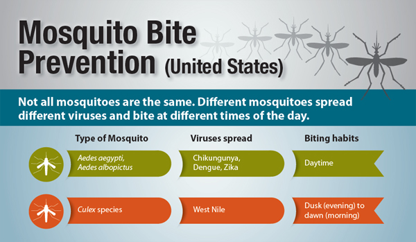 ZIKA IMAGE (1)